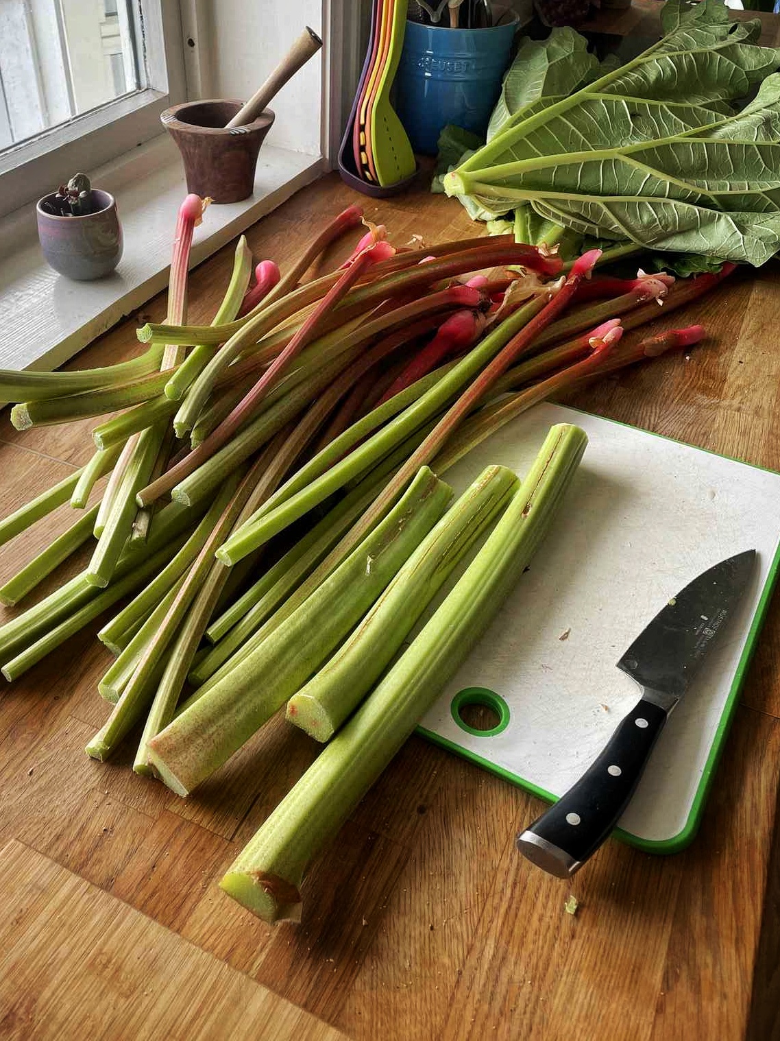Rhubarb
